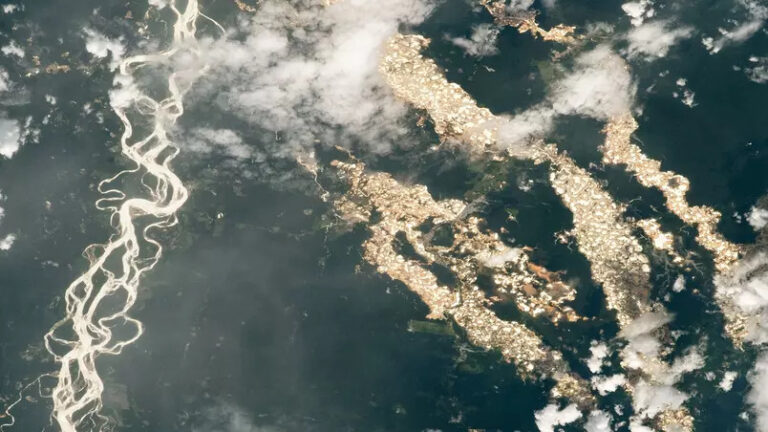 Foto da Nasa mostra ‘rios de ouro’ na Amazônia.