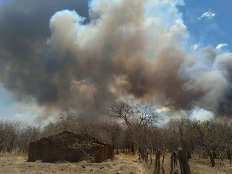 URGENTE: Incêndio na zona rural de Pimenteiras.