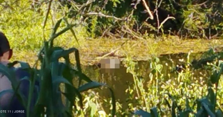 Piauí: Idoso que estava desaparecido é achado morto em açude no