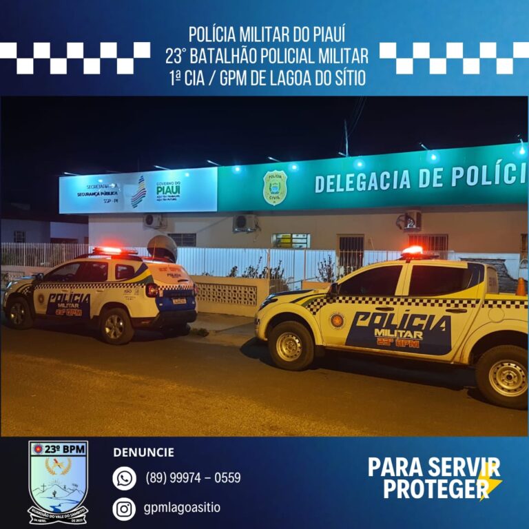 Polícia Militar prende acusado de furtar celular em Lagoa do Sítio-PI