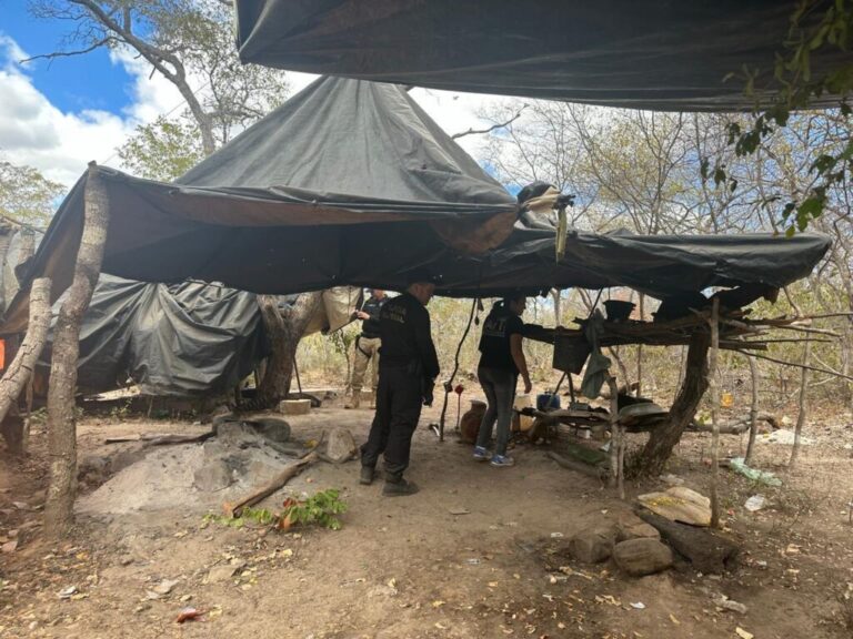 Trabalhadores em situação análoga à escravidão são resgatados no interior do Piauí