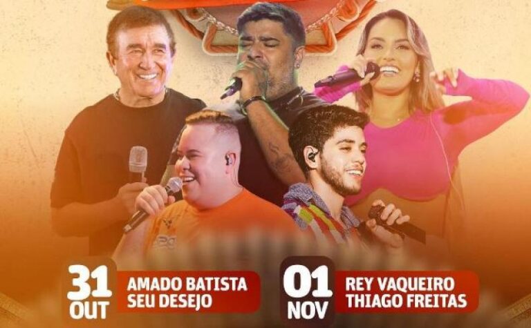 Show de Amado Batista em Praça Publica no 6º Festival de Cultura de Santa Cruz do Piauí.