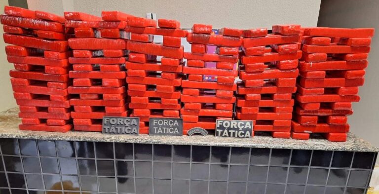 Força Tática realiza a maior apreensão de entorpecentes da história de Valença
