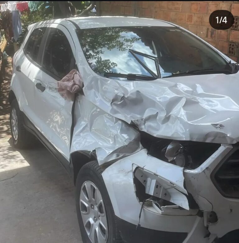 Polícia identificou dono de animal que causou acidente na PI 120