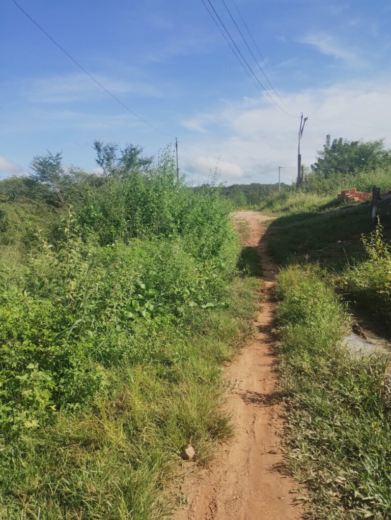 Moradores do bairro Vila Nova cobram soluções da Prefeitura de Pimenteiras em relação a ruas abandonadas e prefeitura aponta soluções