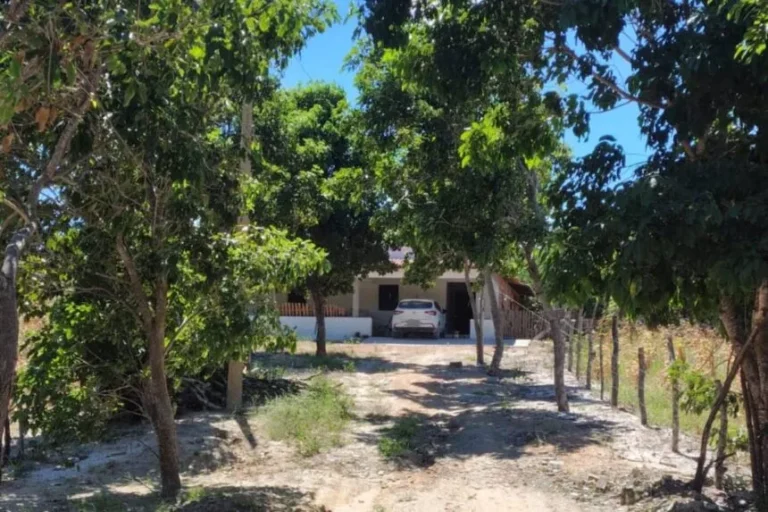 Filha denuncia estupro sofrido pela mãe após invasão de residência na zona rural de Pimenteiras