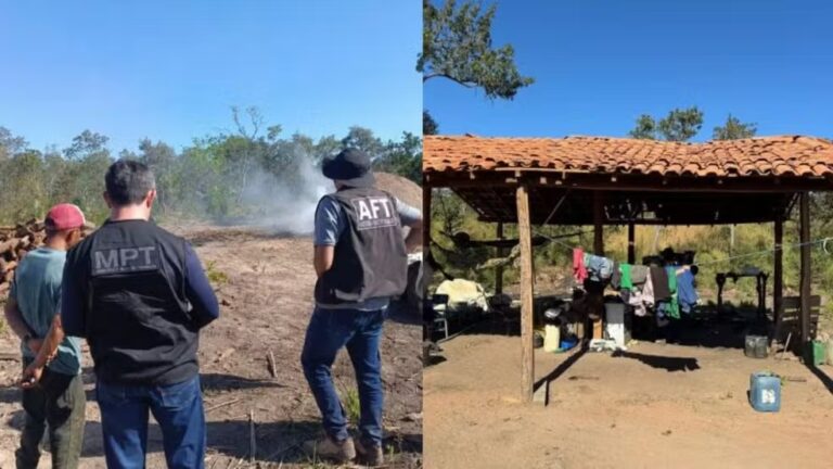 Dois trabalhadores são resgatados de situação análoga à escravidão em carvoaria no Sul do Piauí